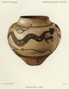 Vaso Cerimoniale (cromolitografia) da American School