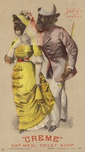 Scimpanzé vestiti
