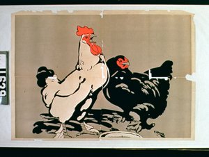 Gallo e gallina da American School