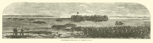 Evacuazione confederata dell