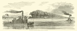 Trasporto confederato che porta bestiame a Vicksburg, febbraio 1863
