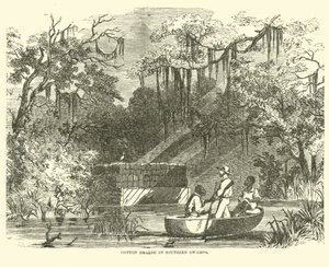 Scorte di cotone nelle paludi del sud, luglio 1862 da American School