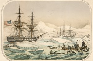 Equipaggio di una nave baleniera attaccato da trichechi