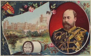Edoardo VII, Principe di Galles