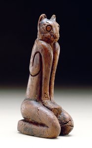 Figura felina, Calusa