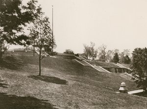Forte Greene, Brooklyn da American School