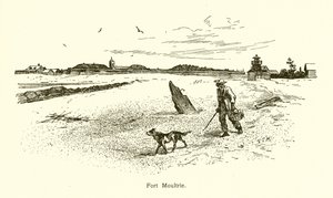 Forte Moultrie da American School