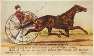 Gentiluomo che guida un cavallo molto velocemente da American School