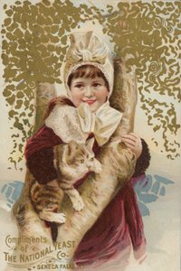 Ragazza che coccola un gatto vicino a un albero da American School