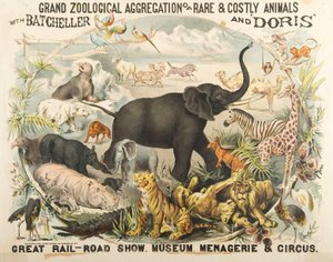 Grande aggregazione zoologica di animali rari e costosi con Batcheller e Doris da American School