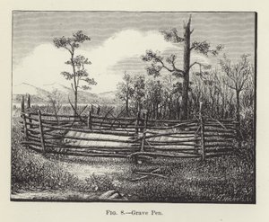 Penna della tomba da American School