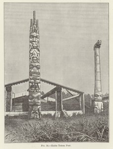 Totem Haida da American School