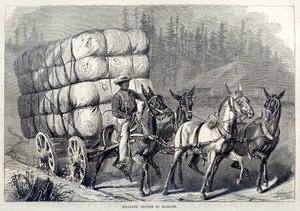 Trasporto del cotone al mercato, da Cento anni di progresso degli Stati Uniti da American School