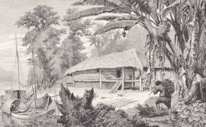 Casa di un ricco raccoglitore di gomma, da 