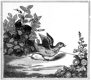 Illustrazione da La Storia Straordinaria di Chicken Little, 1840 da American School