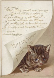Gattino nascosto sotto una lettera da American School