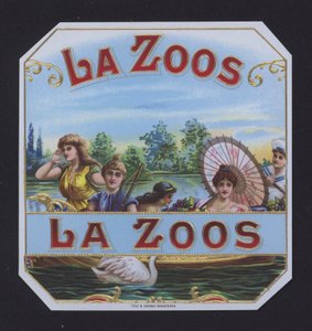 La Zoos da American School