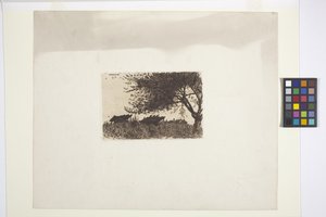 Paesaggio
