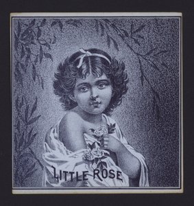 Little Rose