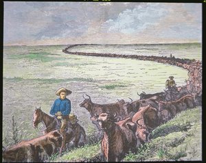 Mandria di Longhorn dal Texas ad Abilene, Kansas, c.1870 da American School
