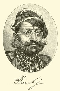 Maharajah da American School