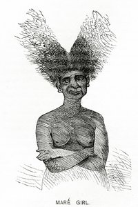 Ragazza Mare, illustrazione da Appletons Journal, 4 maggio 1872 da American School