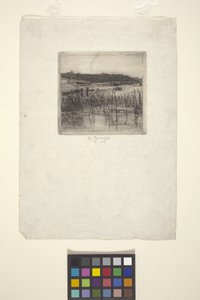 Palude