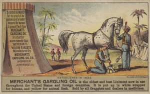 Olio di Gargling del Mercante da American School