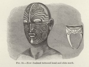 Testa tatuata della Nuova Zelanda e segno sul mento da American School