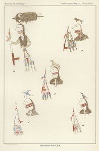 Capi Oglala