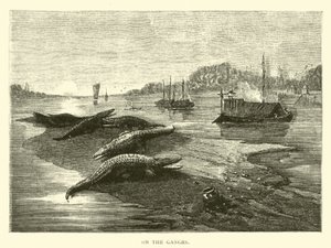 Sul Gange