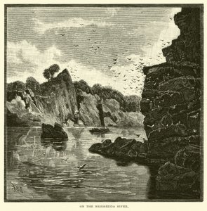 Sul fiume Neirhedda da American School