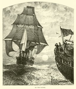 Sul Pacifico da American School