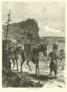 Muli da soma nelle montagne, febbraio 1863 da American School
