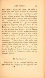 Pagina da 