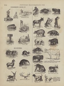 Pagina tratta dal Dizionario completo di Webster (George Bell da American School