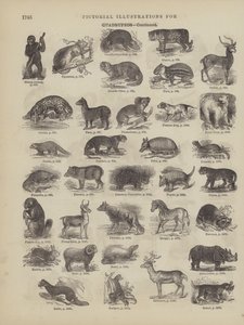 Pagina dal Dizionario Completo di Webster (George Bell) da American School