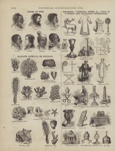 Pagina dal Dizionario Completo di Webster (George Bell)