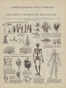 Pagina dal Dizionario Completo di Webster (George Bell)