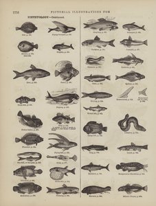 Pagina dal Dizionario Completo di Webster (George Bell) da American School