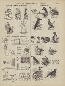 Pagina dal Dizionario Completo di Webster (George Bell) da American School