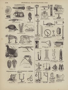Pagina dal Dizionario Completo di Webster (George Bell) da American School