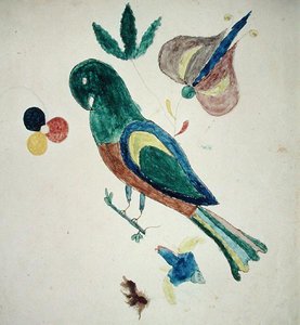 Pappagallino