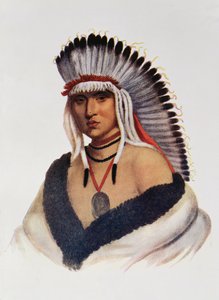 Petalesharro, un coraggioso Pawnee, illustrazione da 