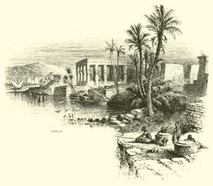 Philae da American School