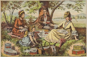 Picnic vicino all