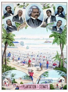 Piantagioni nel Senato: illustrazione che raffigura lavoratori neri nelle piantagioni di cotone e senatori neri negli Stati Uniti meridionali. da American School