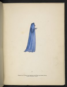 Tavola 7. Un fantasma in blu. Spectropia; o, Sorprendenti illusioni spettrali che mostrano fantasmi ovunque, e di qualsiasi colore, ecc. ser. 1. J.H. Brown 1864