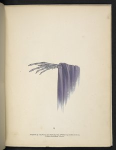 Tavola 8. Una mano scheletrica. Spectropia; o, Sorprendenti illusioni spettrali che mostrano fantasmi ovunque, e di qualsiasi colore, ecc. ser. 1. J.H. Brown 1864