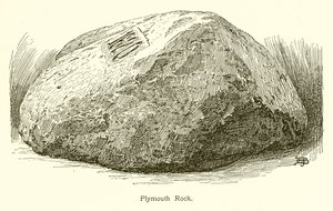 Plymouth Rock da American School